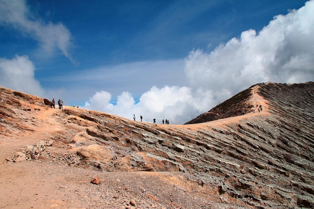 Osingvacation Bed & Breakfast Tamansuruh Bagian luar foto